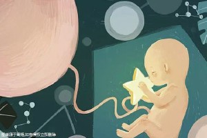 中心环境